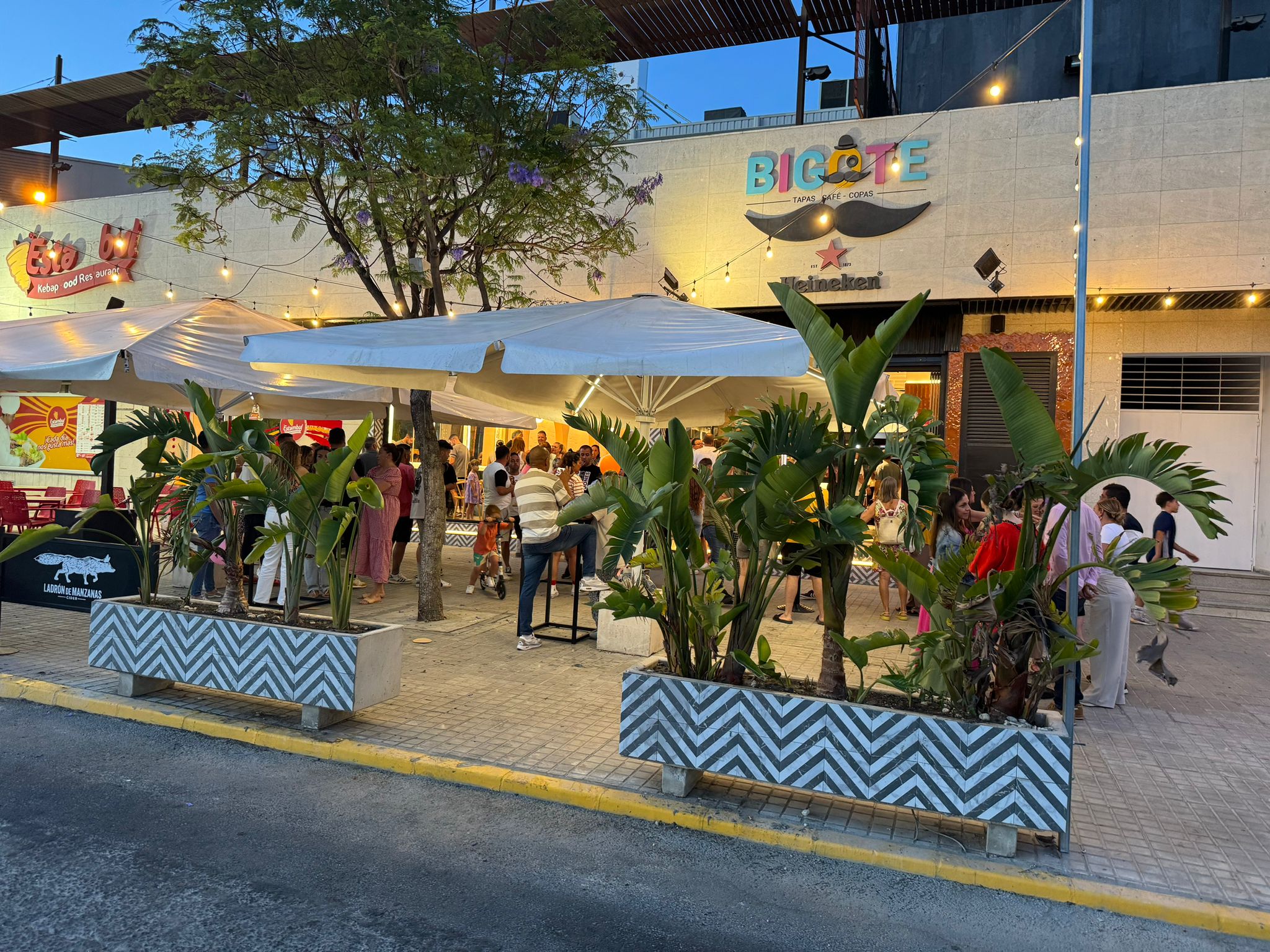 Bar bigote